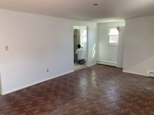 Living room Painting in Nassau County,NY
